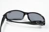 Triase Polarized Sunglasses with Service Case [Coleman] CO3033-1