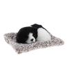 Adorable Stuffed Kid Toy Animal Dog Pet Model Home & decor - Border Collie