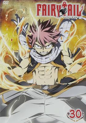FAIRY TAIL 30 [DVD]