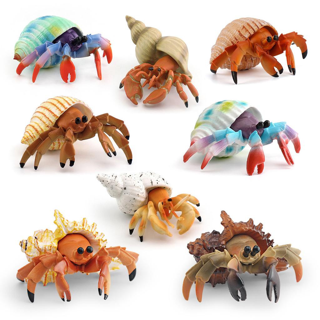 Simulation Marine Animal Pvc Hermit Crabs Sculpture For Kids Learning And Decorative Collection