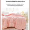 Cozy All-Season Antibacterial Polyester Duvet Insert