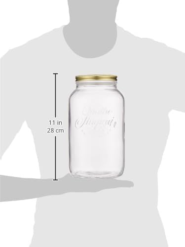 Bormioli Rocco Quattro Stagioni 1 Gallon Wide Mouth Glass Jar with Lid, Clear
