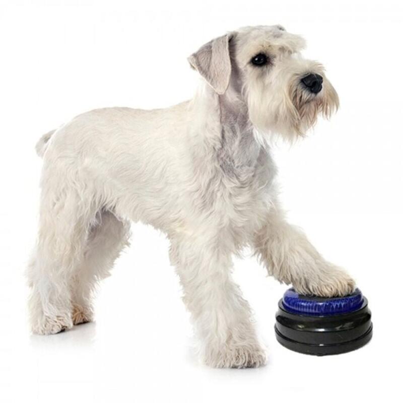 

LED recording treat bell for communicating with your dog green