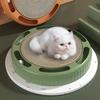 Gatos – Brinquedos para gatos