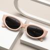 Fashion Cat Eye Sunglasses Women High Quality Uv400 Sunglass Retro Eyewear Bow Embellishment  Brand Designer Sun Glasses