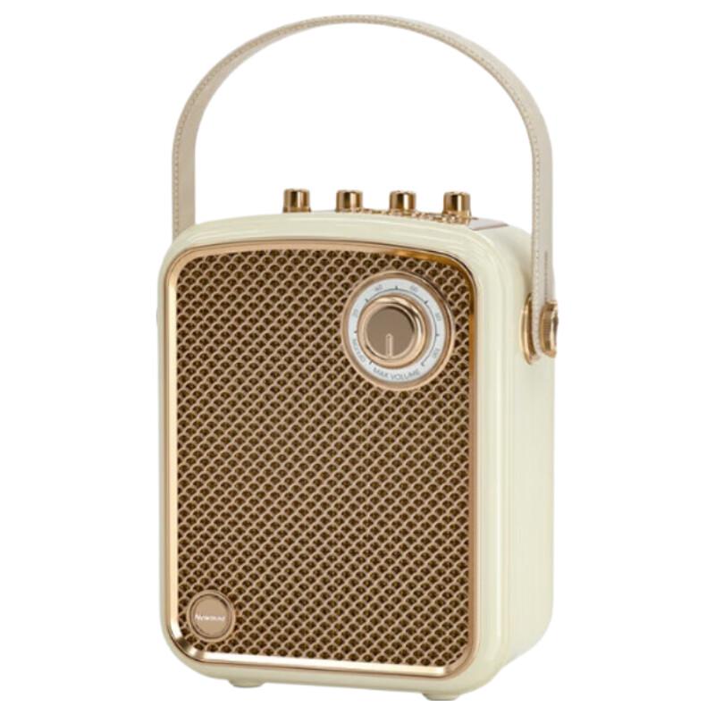 Newman K513 Portable Bluetooth Karaoke Speaker with Dual Microphones CN plug (adapter included) (CN version)