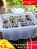 Three-Piece Succulent Seedling Tray Set: 12-Hole Plastic Box with Lid for Moisture and Temperature Control