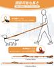 Dog Orange Waist Belt Car Seat Belt Reflective Tape Perfect for Walking and Jogging Medium and Large Dogs Hands-free Leash, Multi-functional