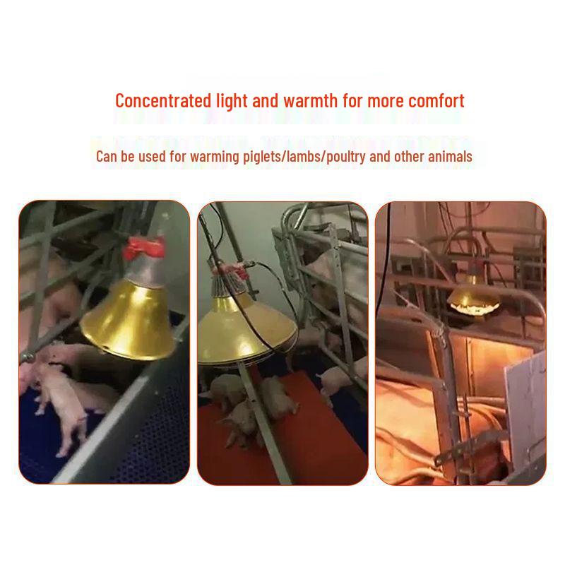 Special Insulated Waterproof Metal Heating Lampshade for Pets and Piglets