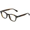 Aeswikeompaegteu Maze 48 Olive Tortoise