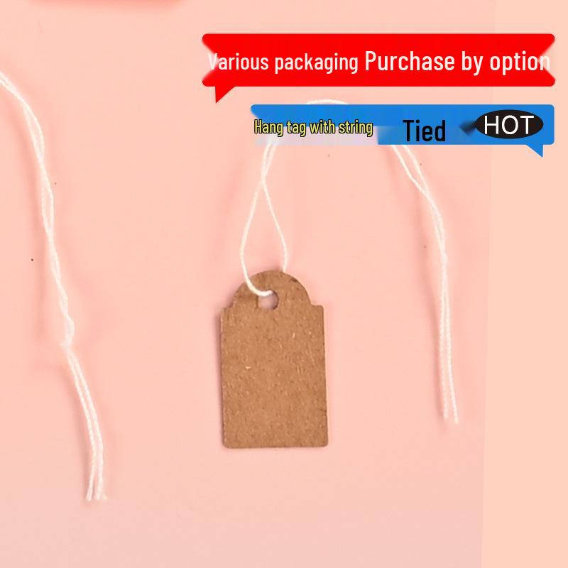 Color Adhesive Jewelry Hang Tags with String - Blank Paper Labels for Handwriting