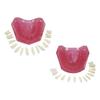 Modello Typodont Standard Dentale Con 28 Denti Rimovibili Gengiva Morbida Modello per Esercitazione Estrazione Dentale Per Educazione Paziente Demo Nuovo