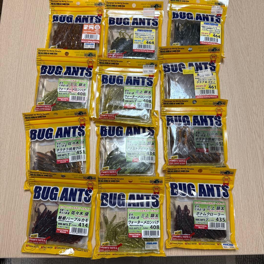 Used JACKALL BUG ANTS 12-piece set worm