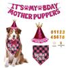 Ropa y calzado – Accesorios para perros
