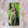 Coque en silicone mignonne Canada Lynx pour Honor 20 20S 20E 8 8A Prime 8X MAX 8C 8S 7A 7C 7S Pro