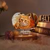 Custom Pet Photo LED Night Light Pet Memorial Acrylic Decor Photo Frame Home Ornament Cute Animal Pattern Gift for Pet Lovers