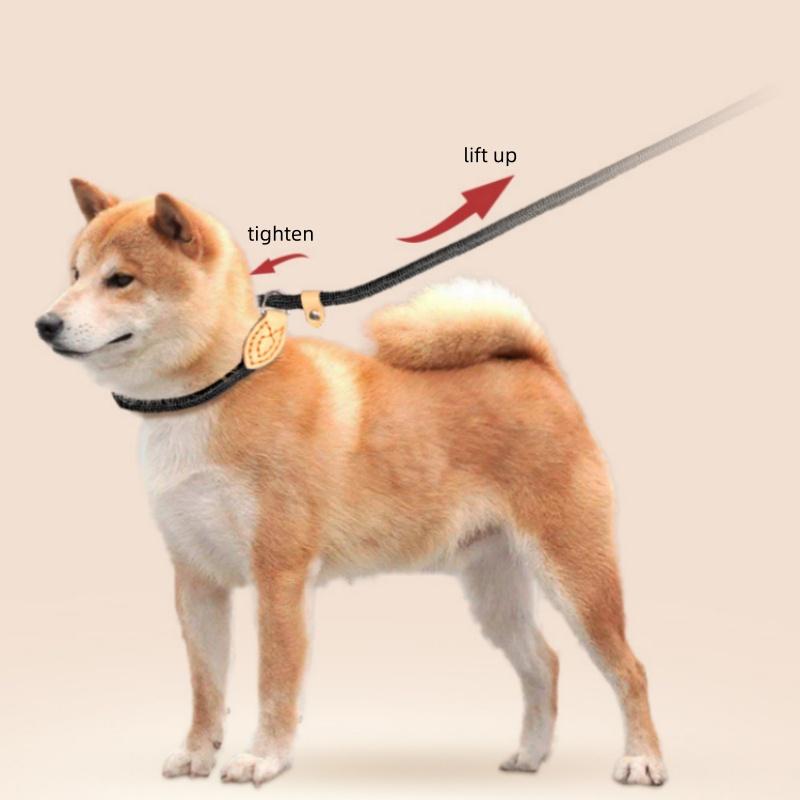New Dog Leash Slip Rope Lead Leash Heavy Duty Braided Rope Adjustable Loop Collar Training Leashes For Small Medium Dogs