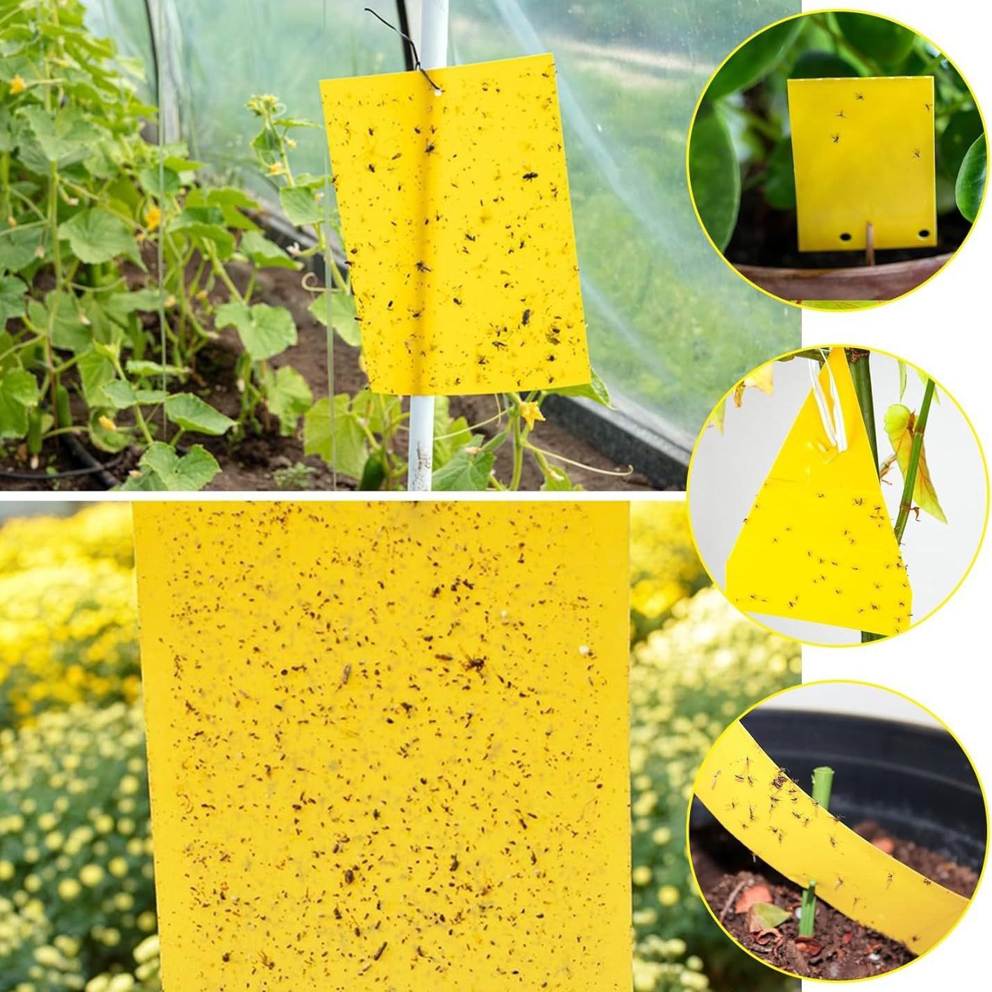 

20x10cm Sticky Pest Trap Sheets 50 Pack Strong Adhesive Laminated Flycatcher Paper for Insect Control Garden Greenhouse Use One Size жёлтый