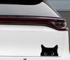 Funny Cat with Big Eyes Car Sticker Vinyl Waterproof Reflective Decal for Car Window Bumper Automotive Exterior Decor