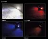 Gamakatsu Head & Neck Light (Hybrid Type) LEHL450