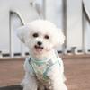 Reflective Pet Vest Style Harness Breathable Pet Chest Strap Dog Harness Leash Set  Chihuahua