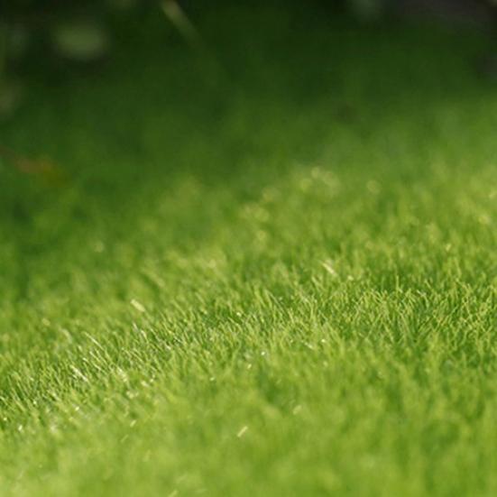 4 Stück grüner Rasen Miniatur Garten Ornament DIY Puppenhaus Pilz Topf Dekoration