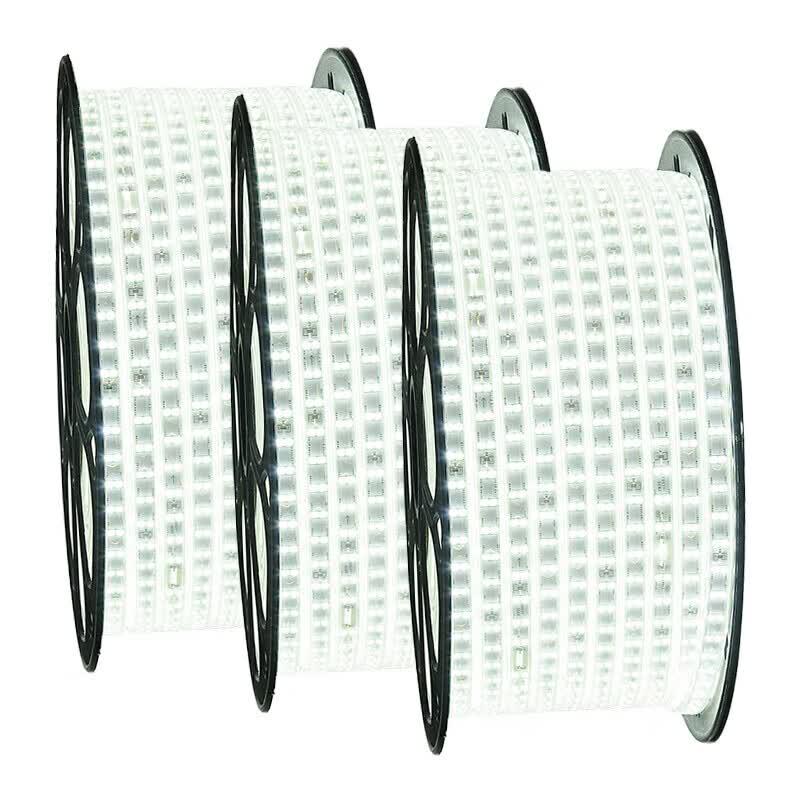 Three-Color Dragon High Voltage Outdoor LED Strip Light