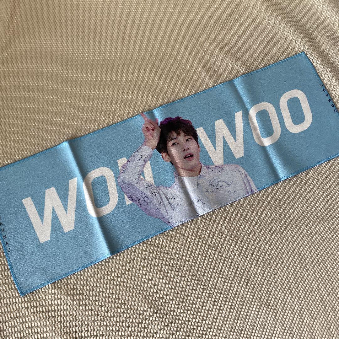 

[USED] Seventeen Wonwoo slogan