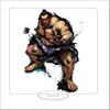 16CM Anime Sutorīto Faitā Figure Stand Model BLANKA/ZANGIEF/DHAISIM/Cammy White Cute Desk Decor Standing Sign Gifts