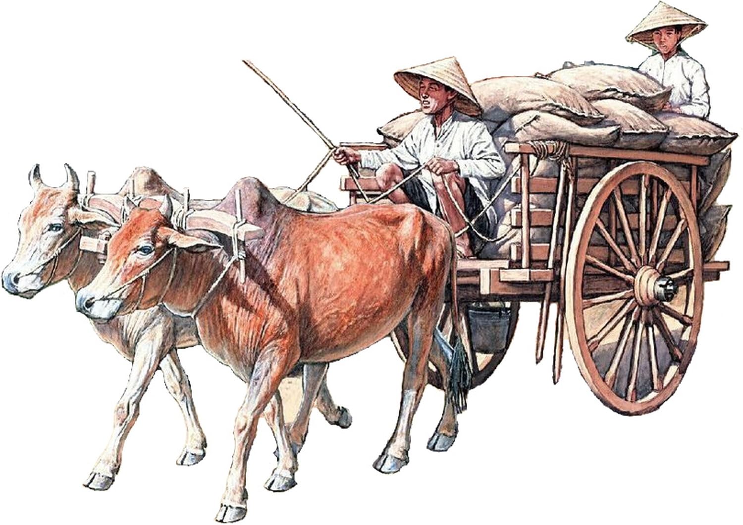 

Gekko Model Vietnam Farmer and Ox Cart Set Plastic Model GEC35GM0110 1/35 1960-1970s