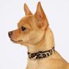 Pet Walking Dog Collar PU Leather Leopard Dog Collar Fashionable Pet Collar  Small Medium Dogs