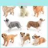 Modelos Realistas de Cibotium Barometz Corgi Galês Pastor Alemão Animais de Estimação Para Decoração de Quarto Infantil e Uso Educacional