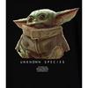 Star Wars The Mandalorian Boys The Child Hoodie