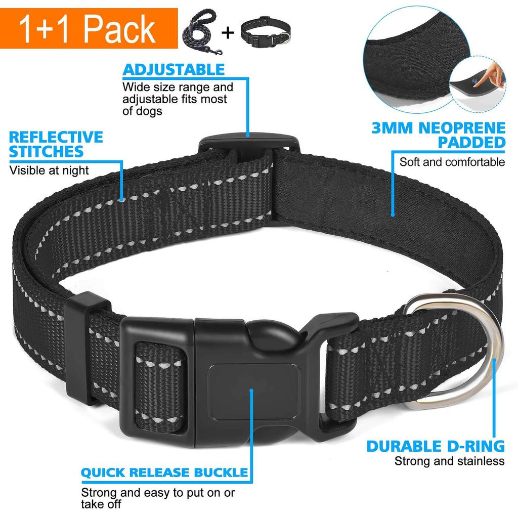 Durable Shock-Absorbing Dog Leash & Collar Set for Medium and Large Dogs - Anti-Pull, Safe & Comfortable