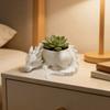 Plastic Draakvormige Plantenpot 3D Geprinte Sieraden Opbergbakje voor Bureau Decoratie