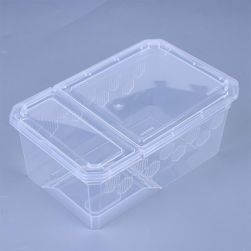 Reptile Tank Insect Spiders Tortoise Lizard Plastic Transparent Reptile Breeding Box Vivarium With Balcony Feeding Supplies