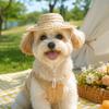 Cartoon Woven Dog Cat Straw Hat Lightweight Breathable Pet Sombrero Hat Adjustable Funny Bamboo Dragonfly Hat Summer Use