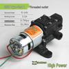 Pompa per Spruzzatore Elettrico con Motore in Rame da 12V: Pompa a membrana autoadescante, Modelli 2203/4200/5500.