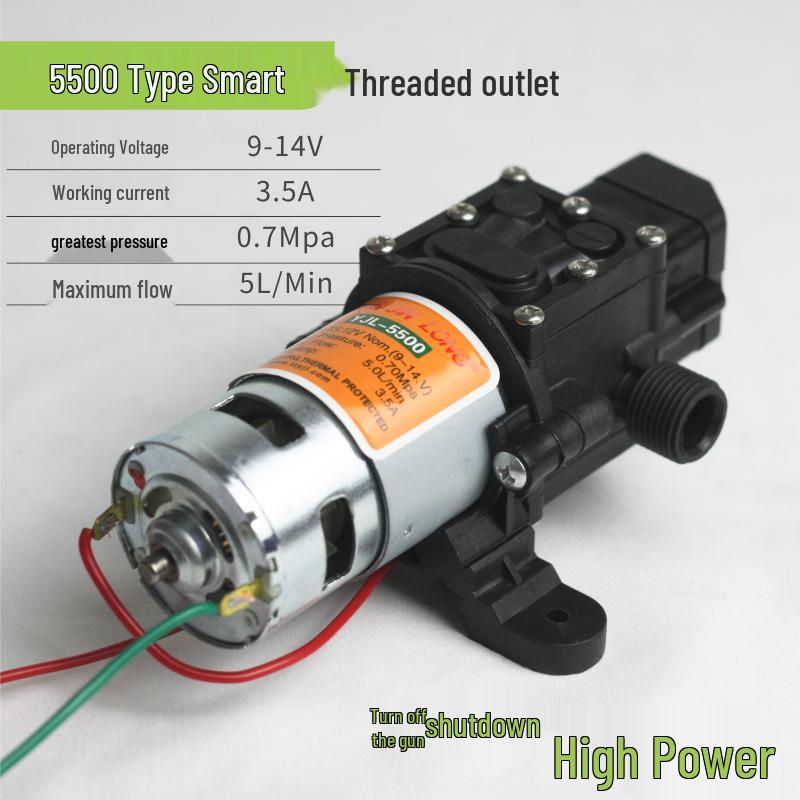 Pompa per Spruzzatore Elettrico con Motore in Rame da 12V: Pompa a membrana autoadescante, Modelli 2203/4200/5500.