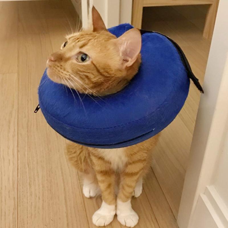 inflatable cat cone