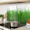 Kitchen Multifunctional Decorative Boards Tempered Glass Grass 2x40x52 cm