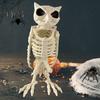Halloween Skeleton Owl Decoration Realistic 12" Skeleton Animal Figure Plastic Owl Bone Model for Haunted House Party Decor