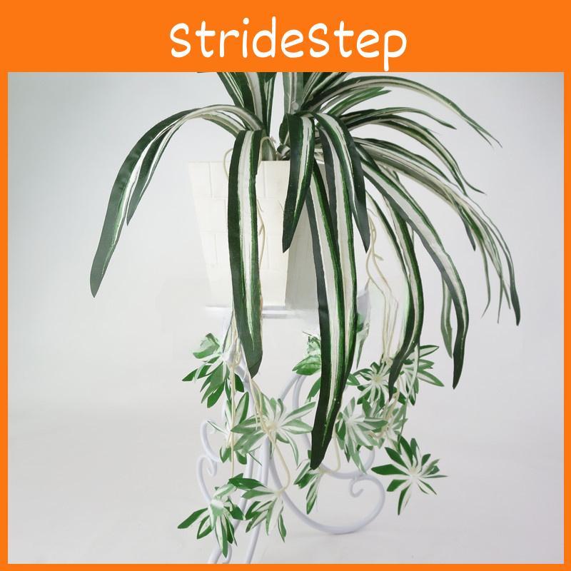 Wand Chlorophytum Comosum Hängedekoration Für Innen Außen Garten Geschenk