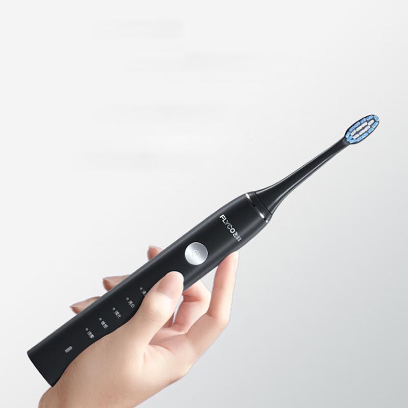 FLYCO FT7205 Adult Sonic Electric Toothbrush with 6 Modes CN plug (adapter included)