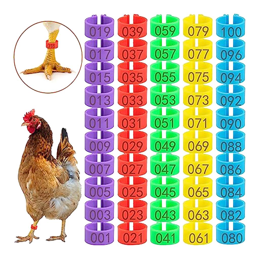 Efficient Poultry Leg Rings Foot Rings Pack of 100 Identification Leg Bands Numbered Clip On Poultry Leg Rings for Farm
