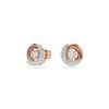 Dextera Rose Gold Stud Earrings 5692258