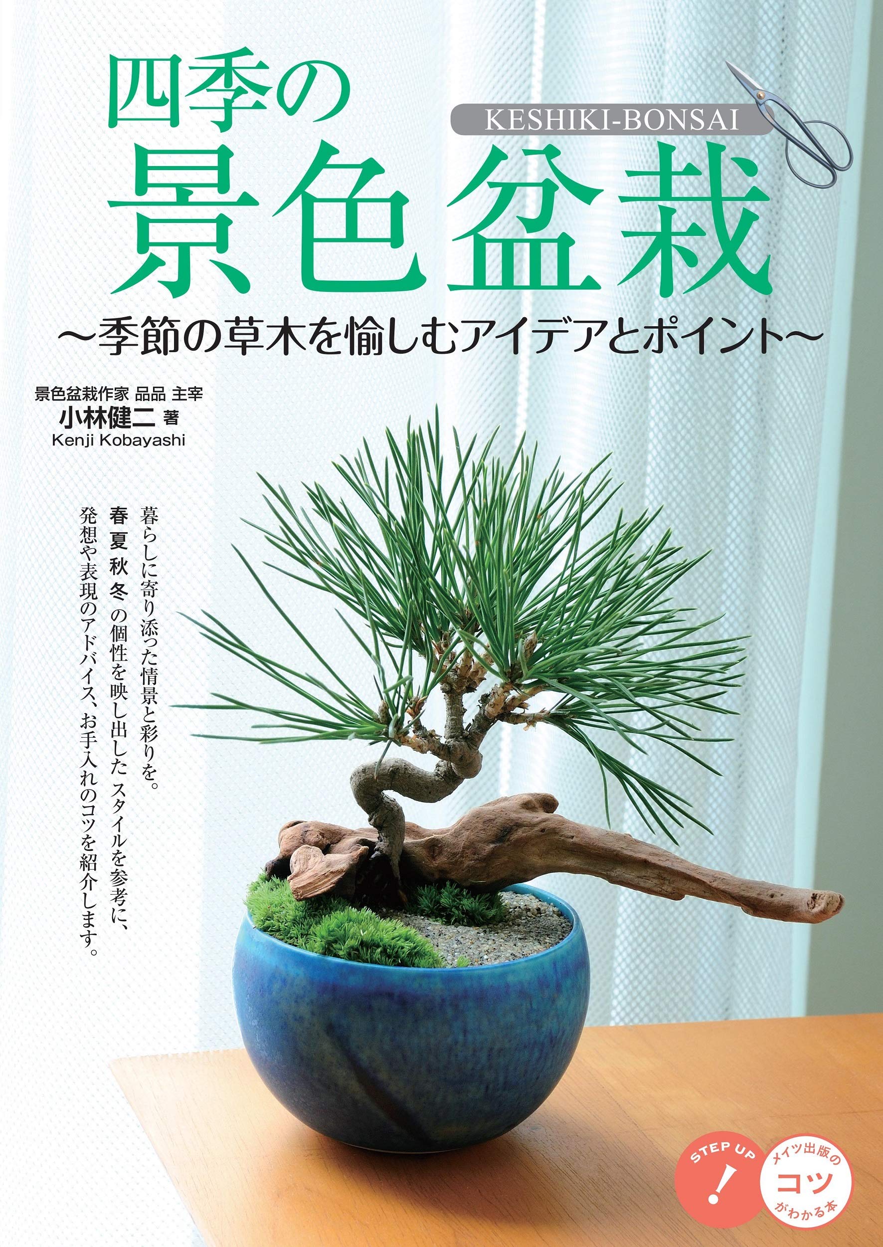 Bonsai im Buch „Vier Ideen und Tipps zum Genießen saisonaler Pflanzen“, das Ihnen die Jahreszeiten näherbringt (Ein paar Tricks!)