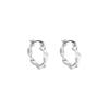 Korean Irregular Metal Earrings Women's Cold Wind Niche Versatile New Earrings Trendy Personalized Earrings