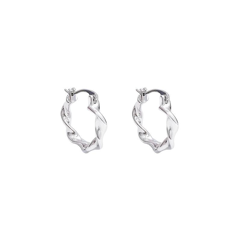 Korean Irregular Metal Earrings Women's Cold Wind Niche Versatile New Earrings Trendy Personalized Earrings