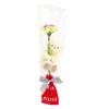 Petit Luu Single Bouquet Gift FUU 12cm 4S Size (Normal)